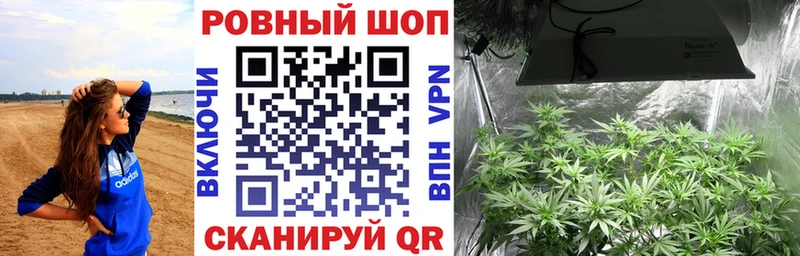 ГАШИШ Нарьян-Мар
