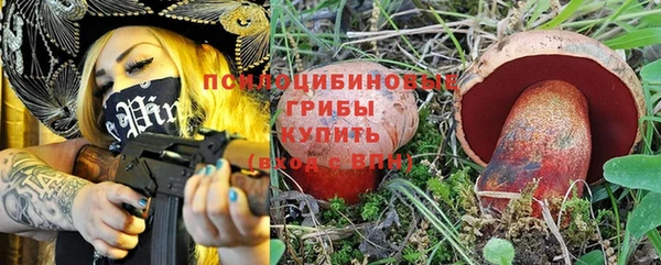прущая мука Богородицк