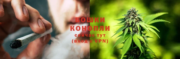 прущая мука Богородицк