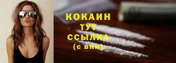 прущая мука Богородицк