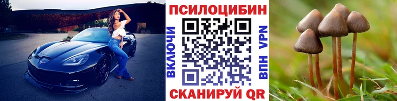 OMG вход  Нарьян-Мар  Псилоцибиновые грибы GOLDEN TEACHER 
