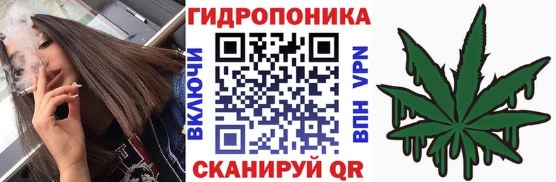 Шишки марихуана марихуана Нарьян-Мар